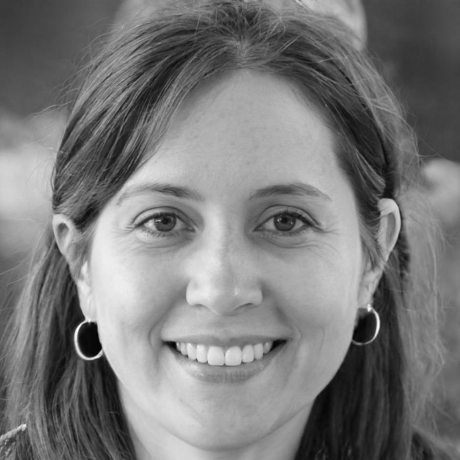 Lena Viljanen, Finanzanalystin